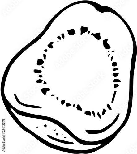 Fruit. Hand drawn vector isolated sketch. Guava 