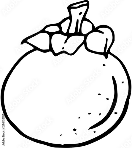 Fruit. Hand drawn vector isolated sketch. Mangosteen
