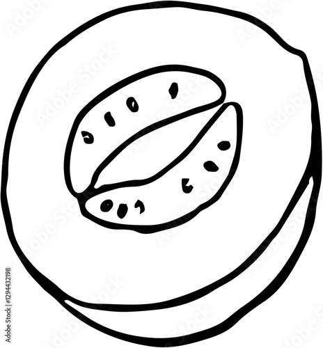 Fruit. Hand drawn vector isolated sketch. Muskmelon 