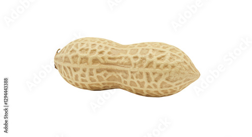 Isolated Single Peanut in Shell Close-up