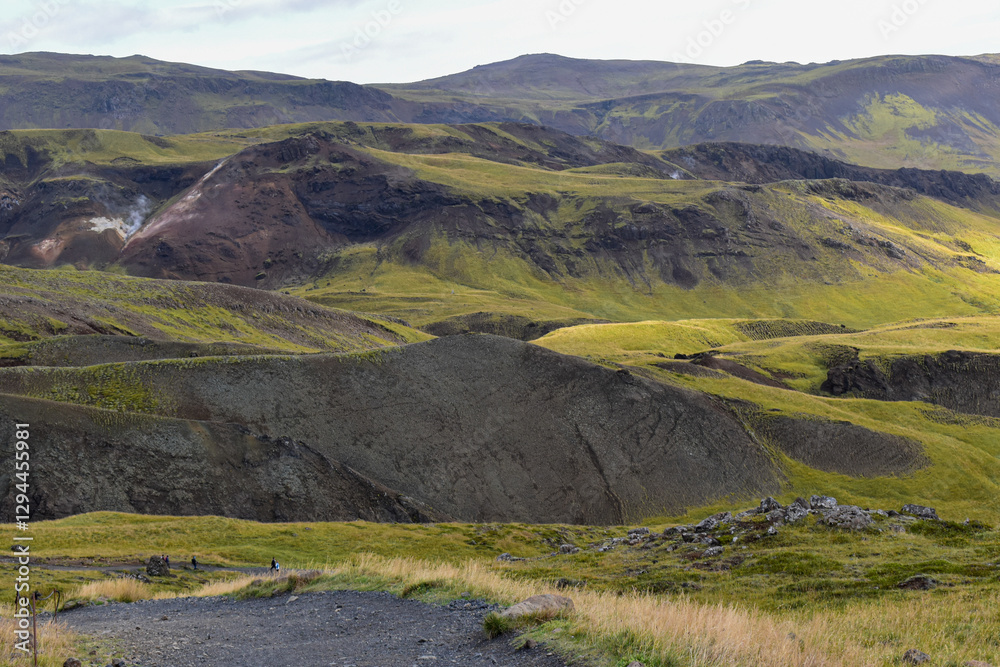 Fototapeta premium landscape in the green mountains of Iceland