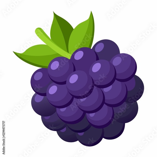 grapes illustration on white background