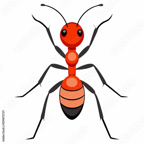 a spider illustration on white background