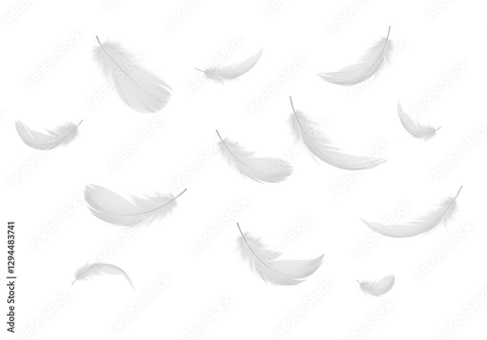 Isolated Falling White Feathers on a Clean White Background Isolated Falling White Feathers on a Clean White Background