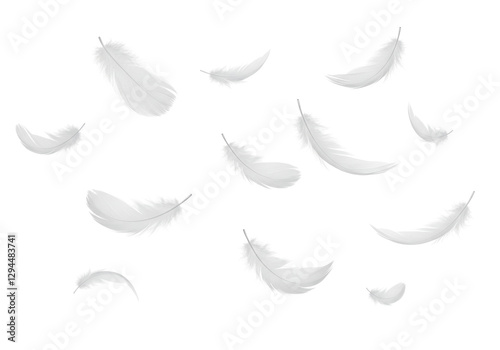 Isolated Falling White Feathers on a Clean White Background