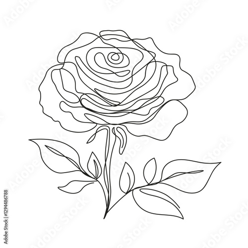 Rose drawing in linart style on white background. Delicate flower drawn with one line. Lush rose in style of minimalism design element.