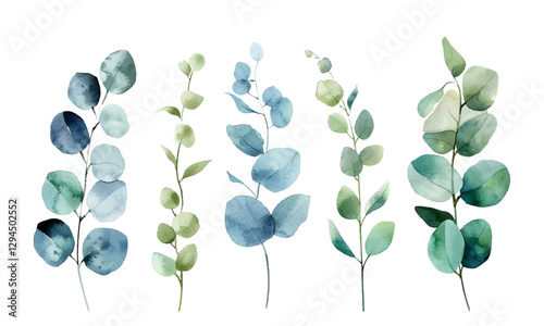 Eucalyptus branches vector collection, five distinct stems with rounded, oval-shaped leaves in varying shades of blue, green, and teal. Eucalyptus branches painted in a watercolor style.