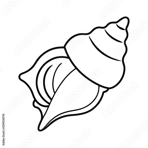 conch