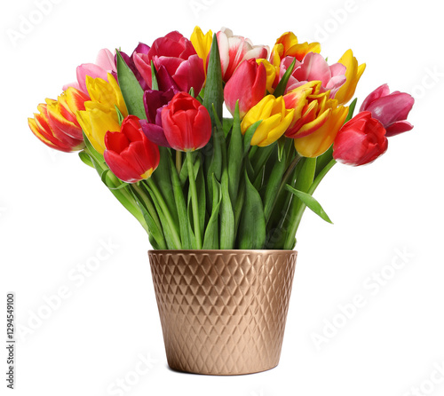 Wallpaper Mural Beautiful colorful tulips blooming in ceramic cachepot isolated on white Torontodigital.ca