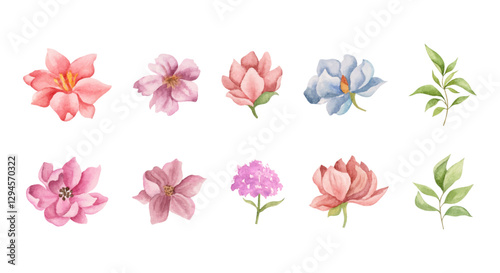 Watercolor floral elements collection