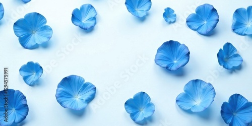 Serene arrangement of delicate blue blossoms scattered on a light blue background, creating a calming and minimalist floral design.