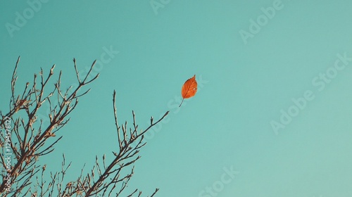 Single leaf falling from branch