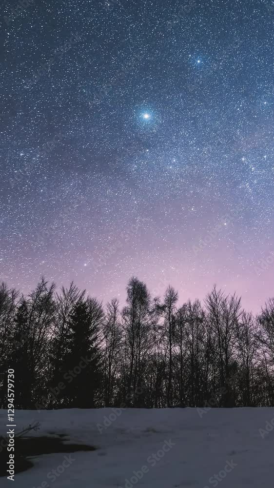 Vertical view of stars over winter forest, Astronomy time lapse Vertical view of stars over winter forest, Astronomy time lapse
