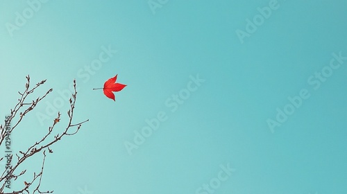 Single leaf falling from branch