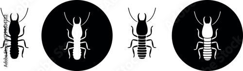 Termite danger sign. Isolated termite on white background