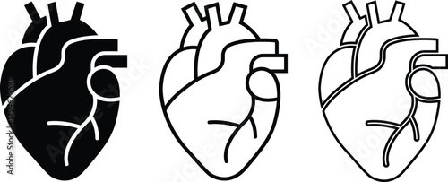 Human heart Organs Hand Drawn flat Line Icon Set Organs Vector for apps, web sign symbol heart, liver, neuron pictogram for human anatomy