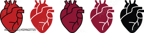 Human heart Organs Hand Drawn flat Line Icon Set Organs Vector for apps, web sign symbol heart, liver, neuron pictogram for human anatomy