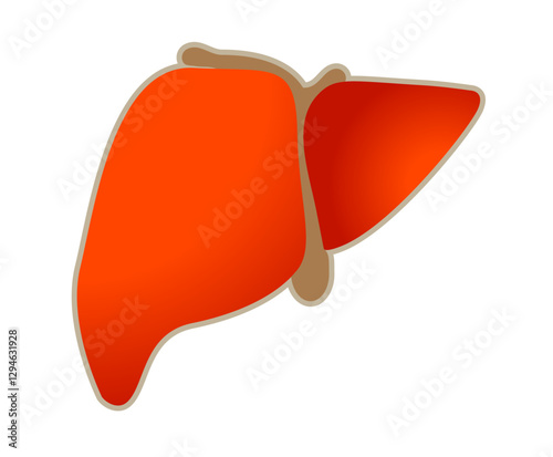 Flat Shape Liver Organ - Stock Icon