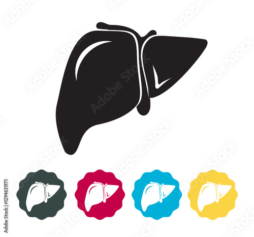 Flat Shape Liver Organ - Stock Icon