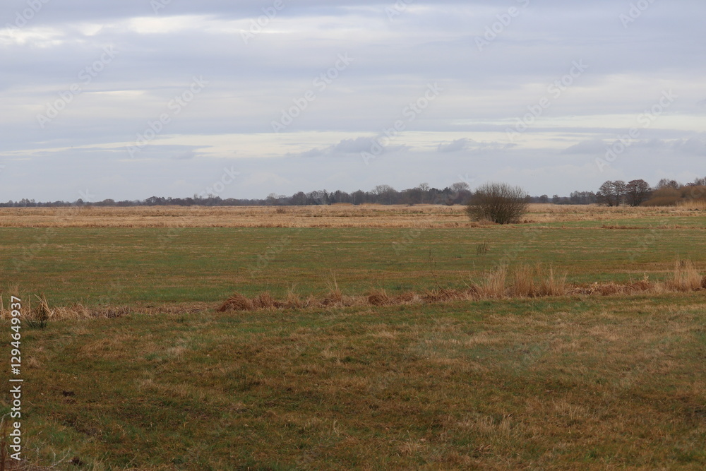 Green meadow stretches across the landscape Green meadow stretches across the landscape