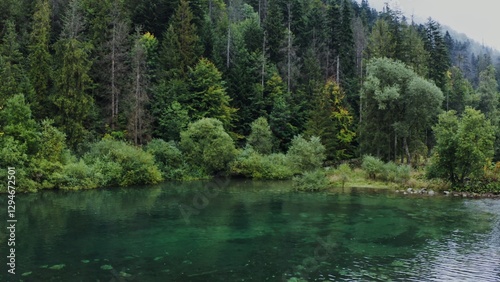 Video footage from a drone, a view of the river flowing among the spruce forest, with bushes descending to the water. Fairytale nature on a summer day