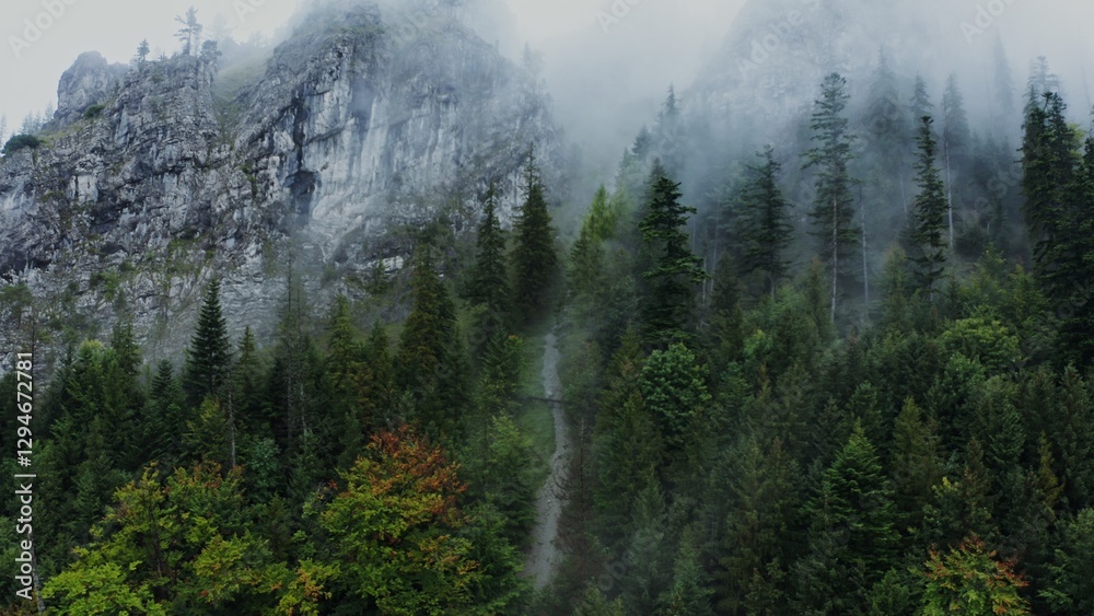 Obraz premium A narrow mountain river flowing from the steep rocky mountains among the spruce forest, aerial video from a drone on a summer day