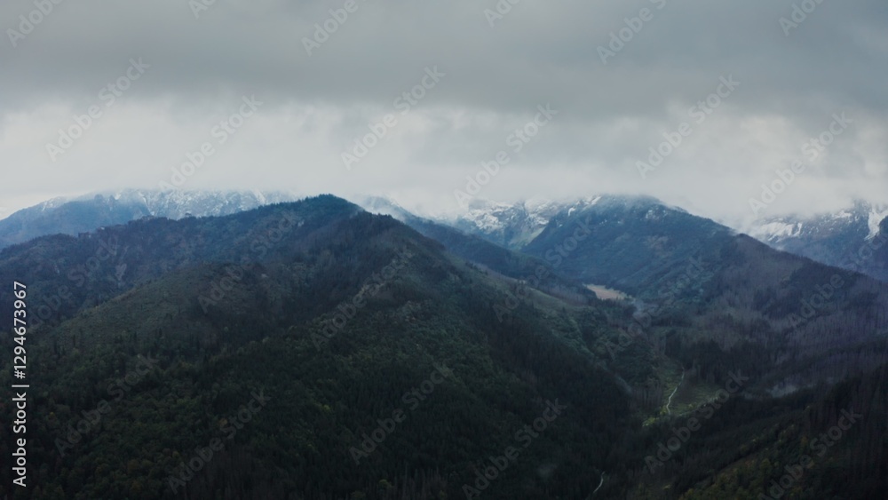 Vertical panning from a drone, a view of the mountain valley with a lake in a lowland at the foot of gently sloping mountains overgrown with a dense spruce forest. Vertical panning from a drone, a view of the mountain valley with a lake in a lowland at the foot of gently sloping mountains overgrown with a dense spruce forest.