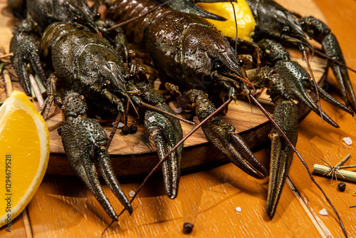 crayfish