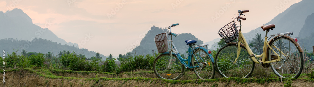Naklejka premium bicycles in nature