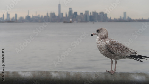 NYC, NUEVA YORK, VIAJES GRANDES CIUDADES