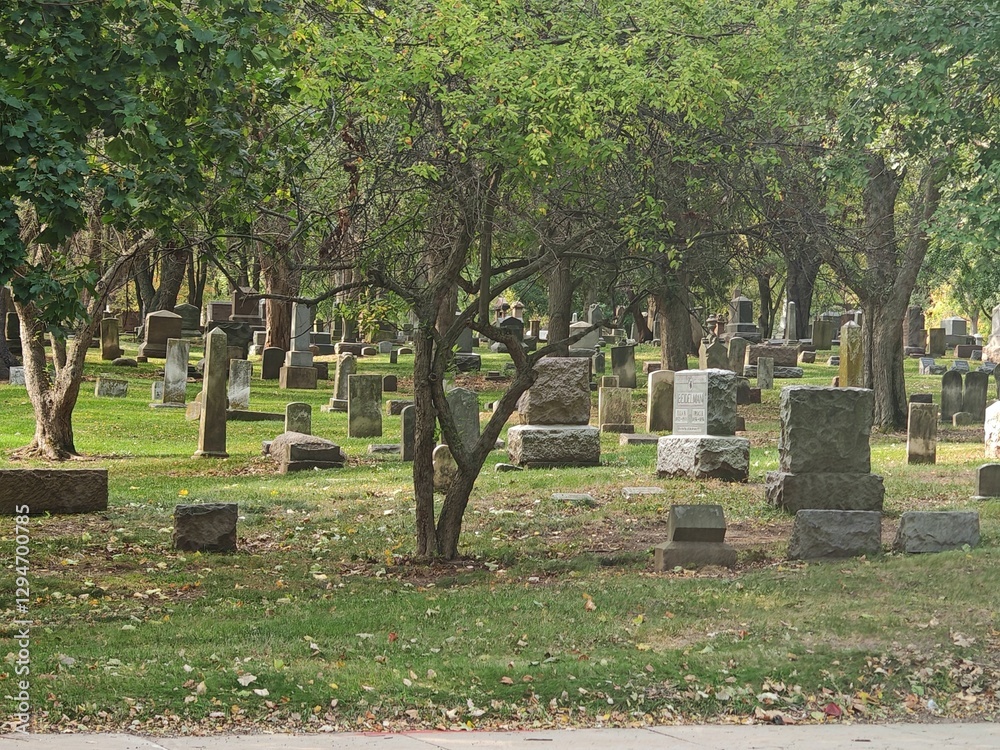 Naklejka premium Gravestones in Naperville Cemetery, Illinois
