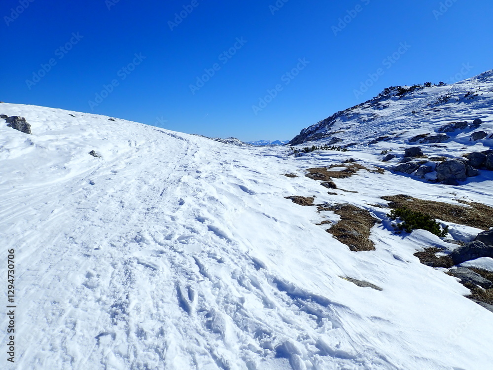 Obraz premium dachstein mountains in austria in winter