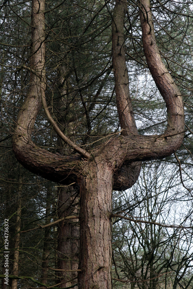 Naklejka premium Trident Tree II