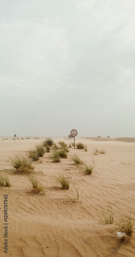 Road signs and sparse vegetation peek through the desert sand. The road is covered with sand, it is not visible. Sand dunes on a windy day. 4k video, red komodo Road signs and sparse vegetation peek through the desert sand. The road is covered with sand, it is not visible. Sand dunes on a windy day. 4k video, red komodo
