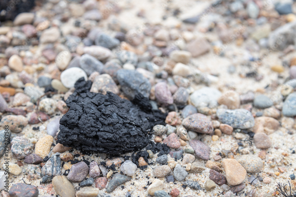Natural coal pieces in a Bornholm beach - coal geology Natural coal pieces in a Bornholm beach - coal geology