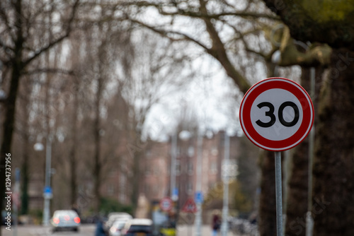 Speed Limit 30 Sign on a Tree-Lined Urban Street in Amsterdam