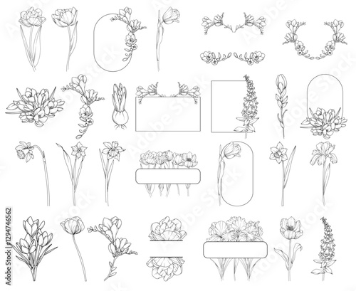 Obraz na płótnie Collection of spring flowers (tulips, iris, freesia, narcissus, crocus) bouquets and frames, botanical line drawing, vector floral line art illustration for wedding, logo, advertising, packaging w salonie