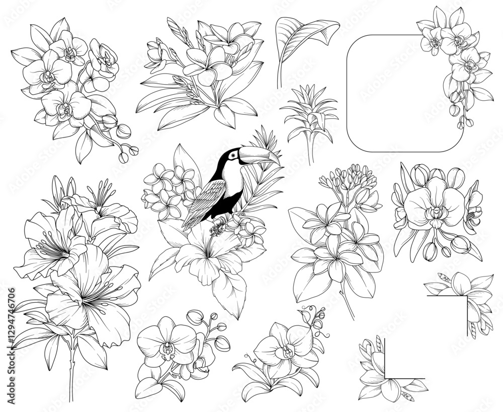 Collection of tropical flowers, leaves, plants, bouquets, frames, botanical line drawing, vector floral line art illustration for wedding, logo, advertising, packaging