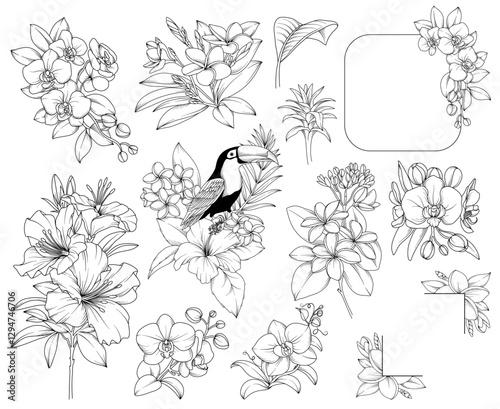 Obraz na płótnie Collection of tropical flowers, leaves, plants, bouquets, frames, botanical line drawing, vector floral line art illustration for wedding, logo, advertising, packaging w salonie