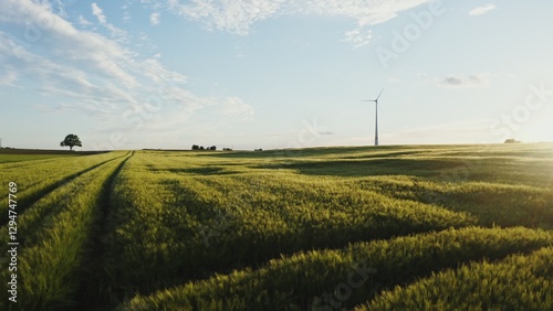 The wind farm stands on the edge of a picturesque meadow with dense green grass, drone video on a summer sunny day