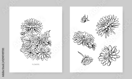 Hand drawn Aster flowers on white background. Line elements for your design, wedding cards. Elegant Floral, Botanical vector illustration.