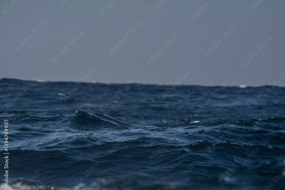 Splashing sea water with foam, bubbles, beautiful Splashing sea water with foam, bubbles, beautiful