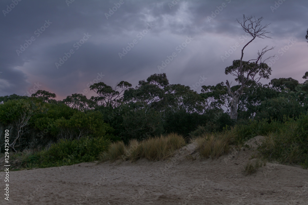 Fototapeta premium sunset in Hobart Kingston beach with dramatic sky and trees