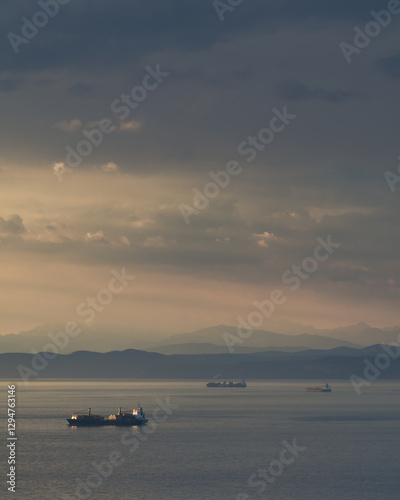 Cargo ships at berth before port of Koper