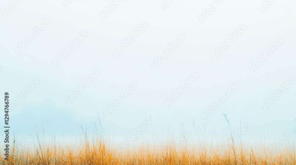 Misty farm landscape with soft pastel skies and tall grasses at dawn Misty farm landscape with soft pastel skies and tall grasses at dawn