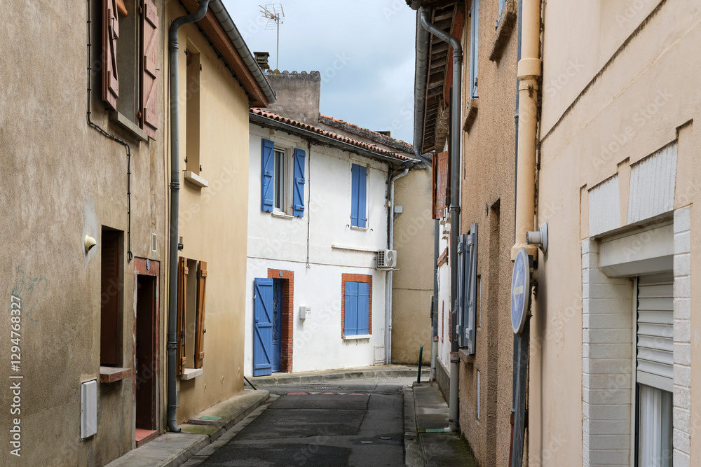 Fototapeta premium Narrow traditional street with white plastered house in Portet-sur-Garonne in Haute-Garonne Occitanie Southern France under a cloudy sky in summer.