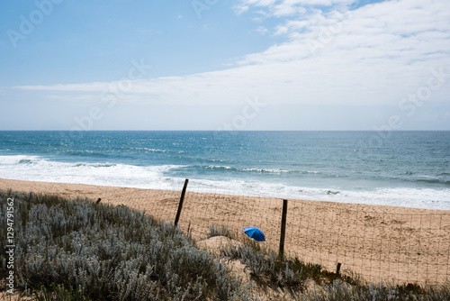 Beach day photo
