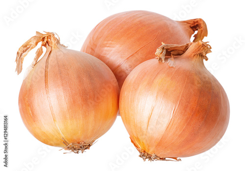 Wallpaper Mural Onion isolate. Vegetable, onion. Torontodigital.ca