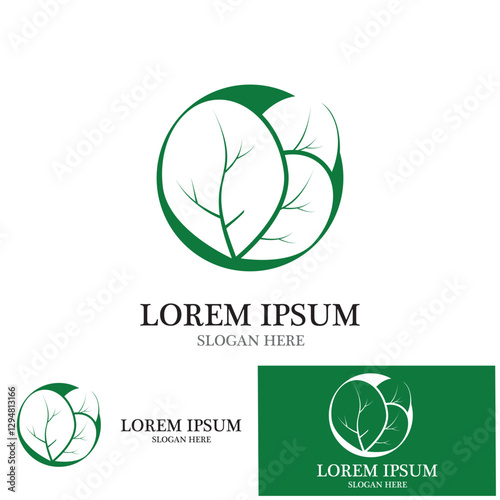 moringa leaves icon vector illustration template design