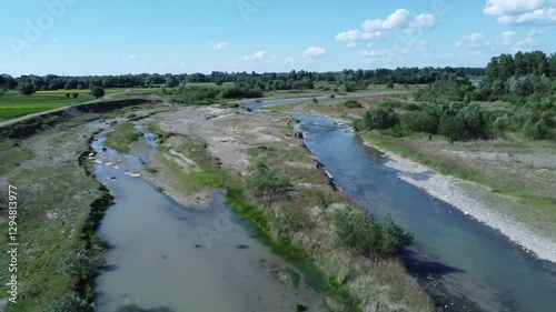 The wetlands of Suceava river